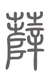 薛姓来源