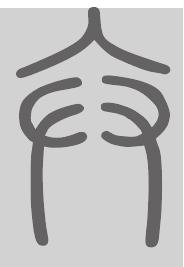 卞姓来源