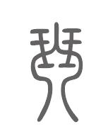 琴姓来源